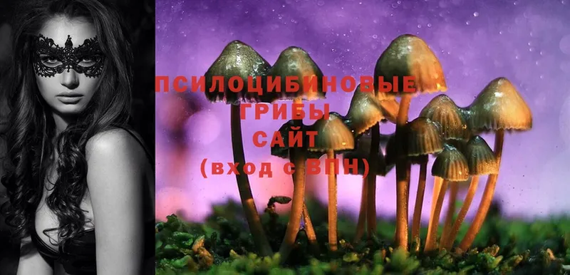 даркнет сайт  Верхняя Салда  гидра tor  Галлюциногенные грибы MAGIC MUSHROOMS 