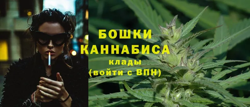 Бошки марихуана THC 21%  магазин продажи наркотиков  Верхняя Салда 